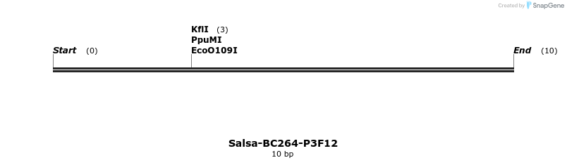 393978_map