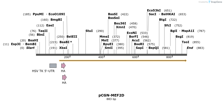 39399_map