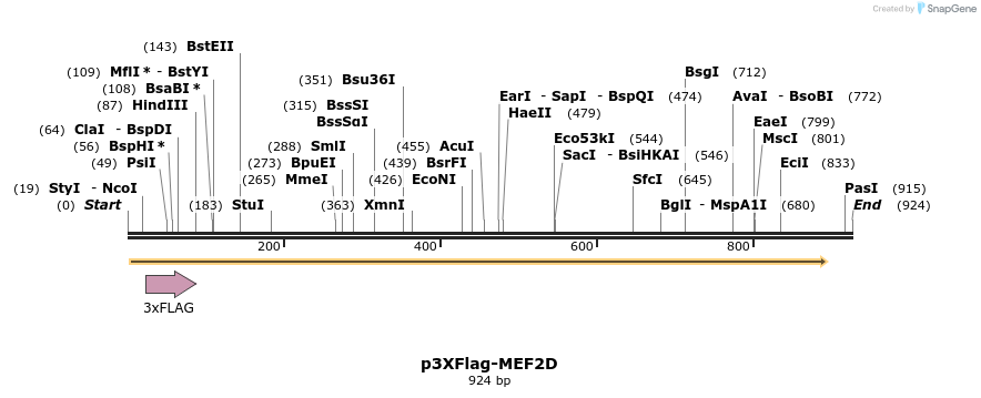 39400_map