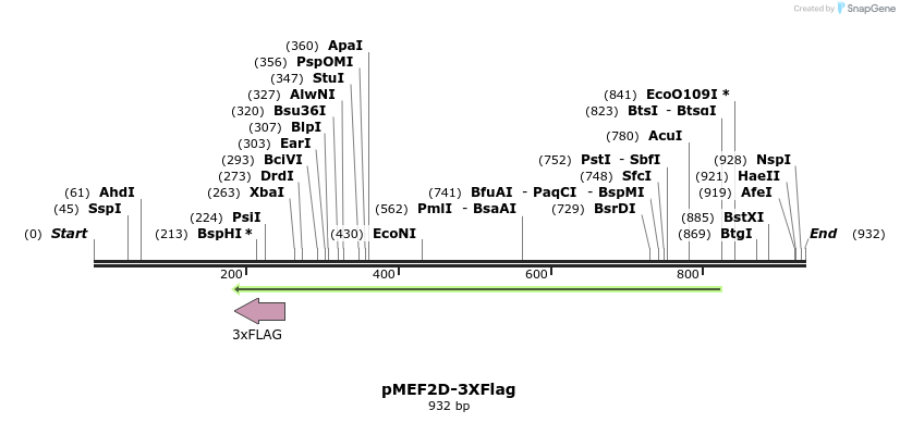 39401_map