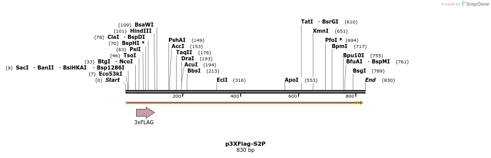 39402_map