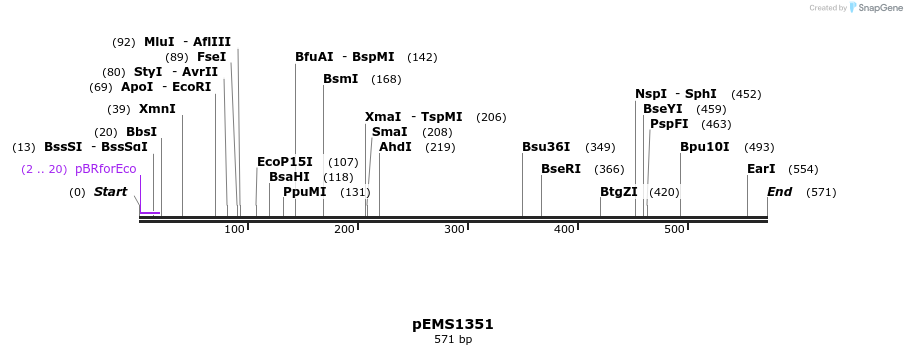 39404_map