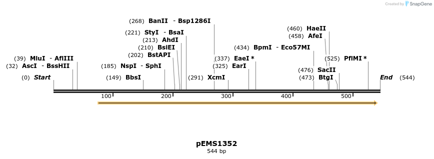 39406_map