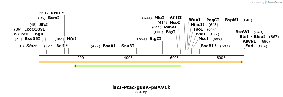 39412_map