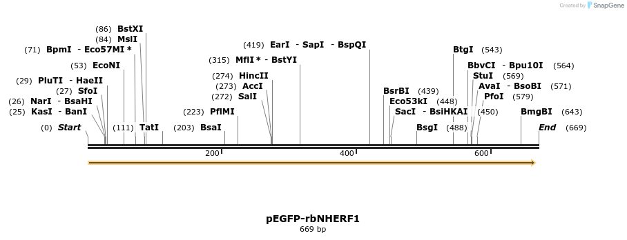 39413_map