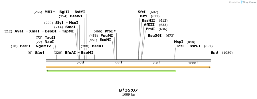 394168_map