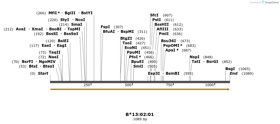 394169_map