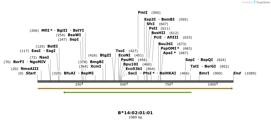 394171_map