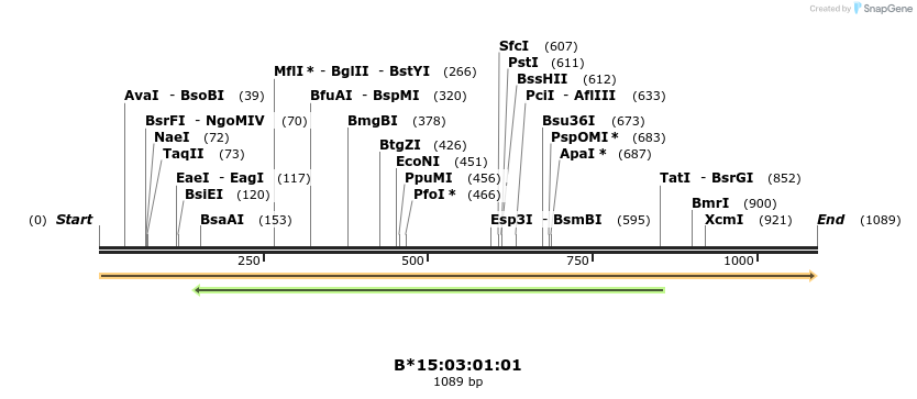 394172_map