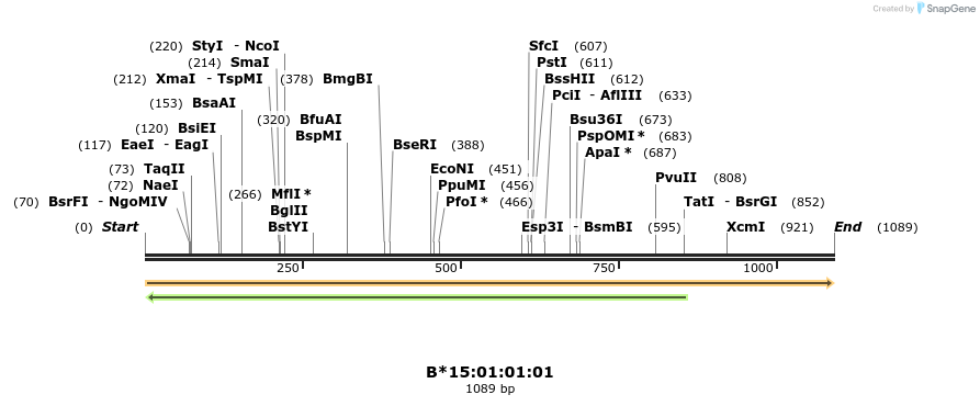 394173_map