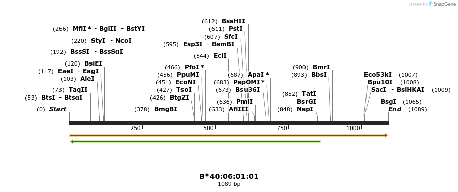 394176_map