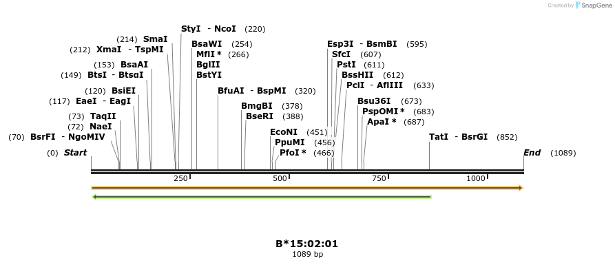 394177_map