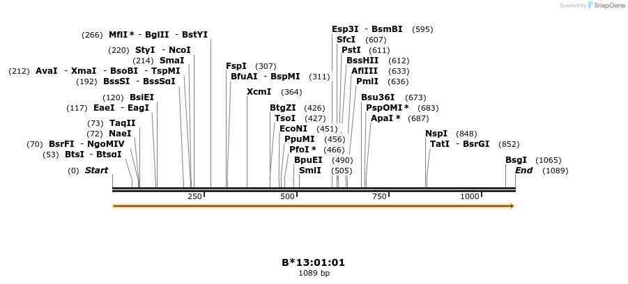 394178_map
