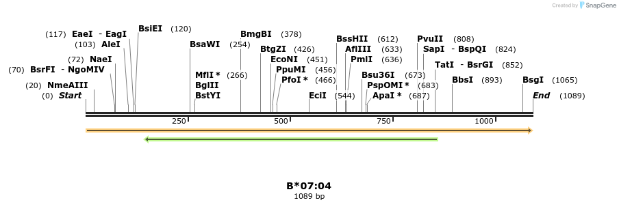 394179_map