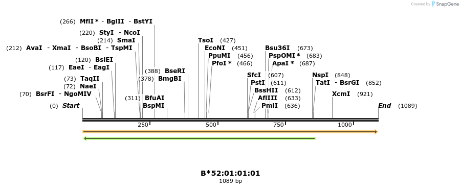 394180_map