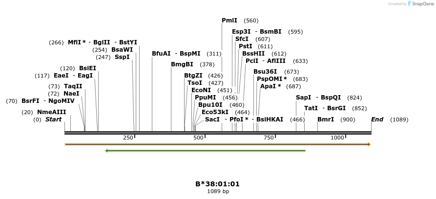 394181_map
