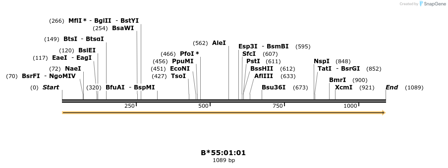 394182_map