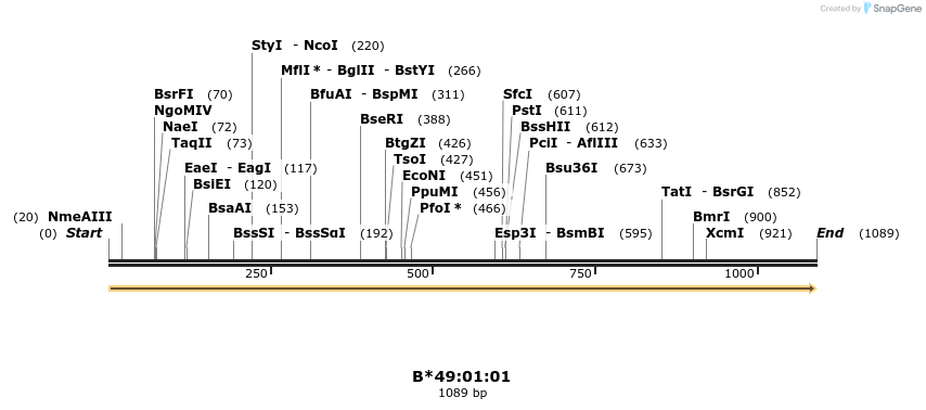 394183_map