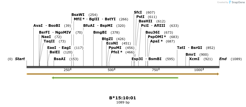 394184_map