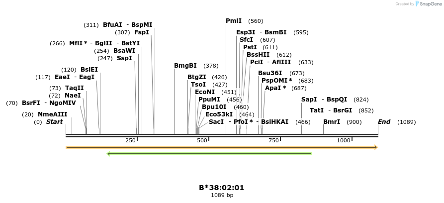394186_map