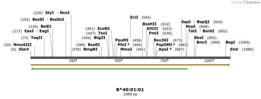 394187_map