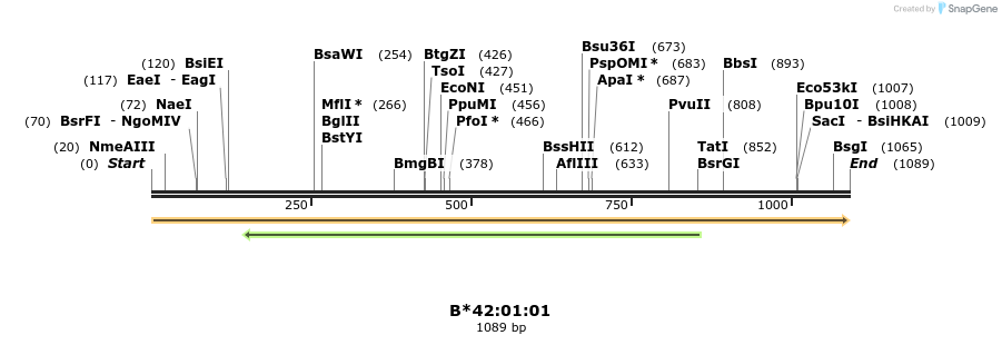 394188_map