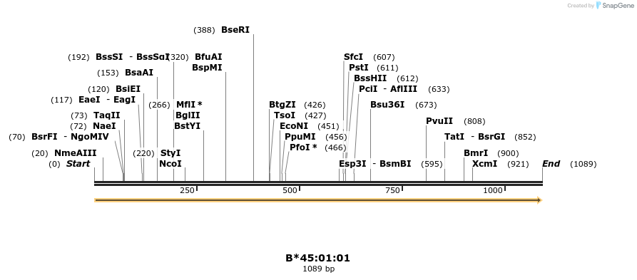 394189_map