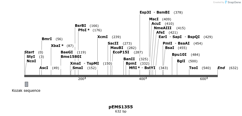 39419_map
