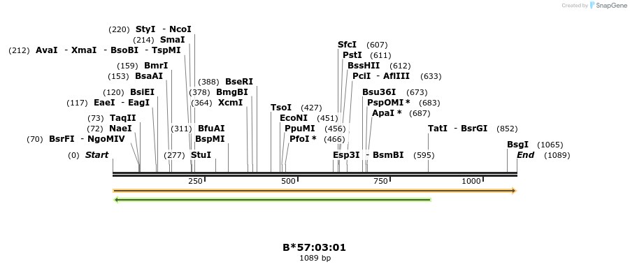 394190_map