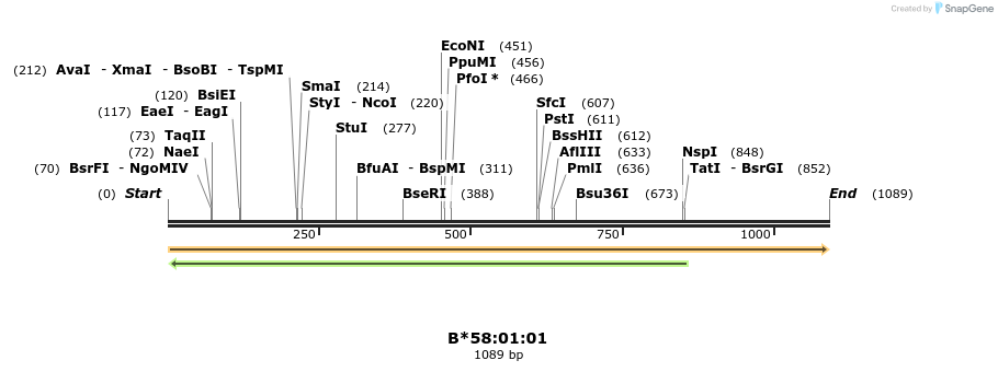 394191_map