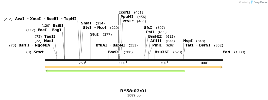 394192_map