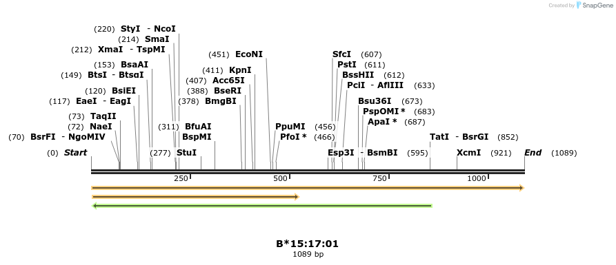 394193_map