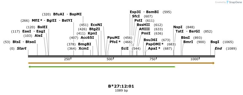 394194_map