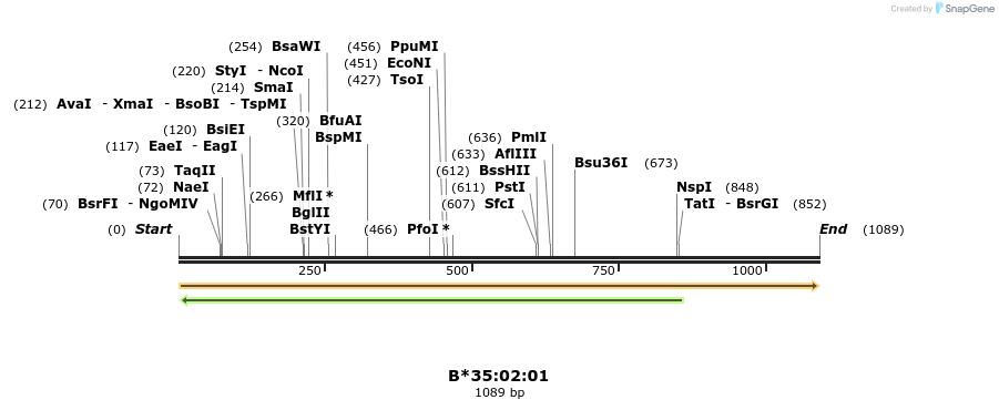 394195_map