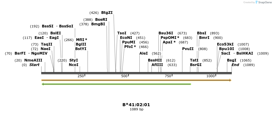394196_map