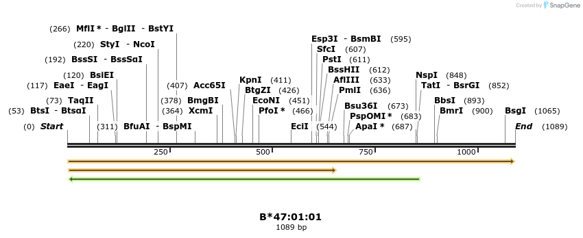 394197_map