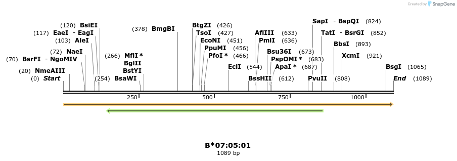 394198_map