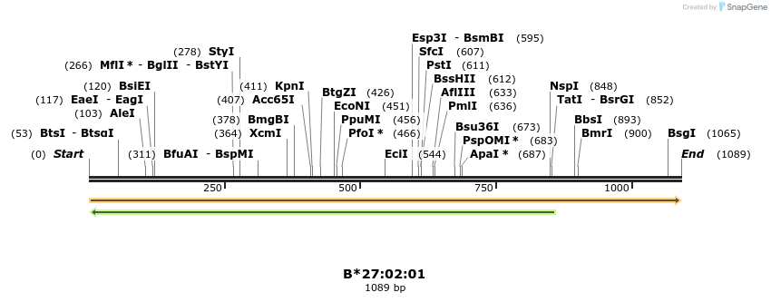 394199_map