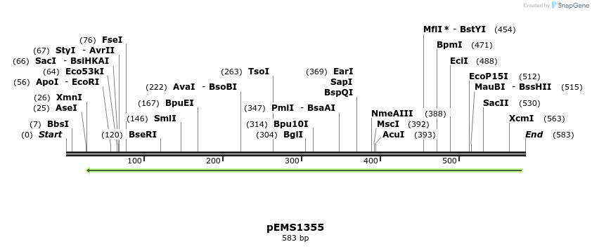 39420_map