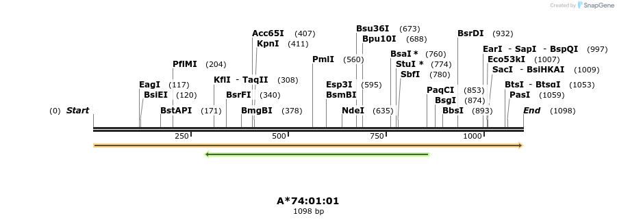394200_map