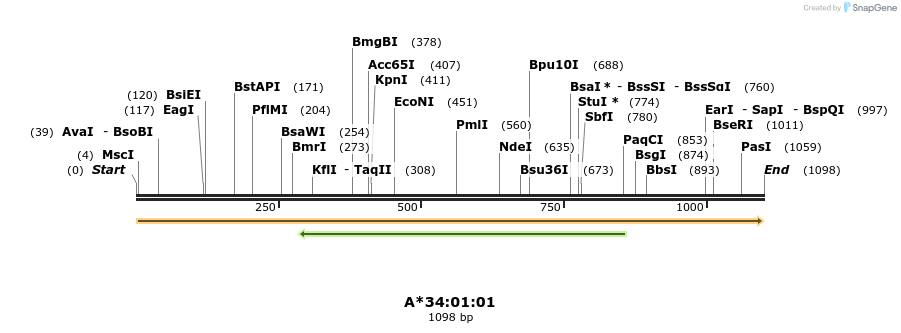 394201_map