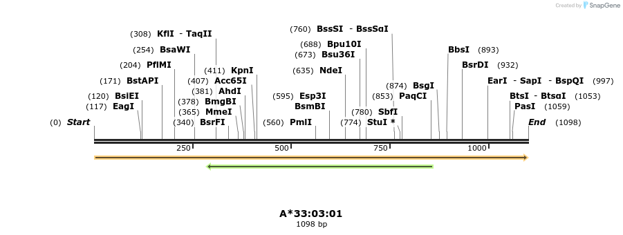 394202_map