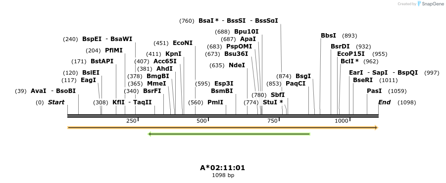 394206_map