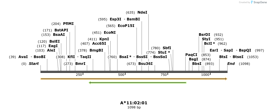 394208_map