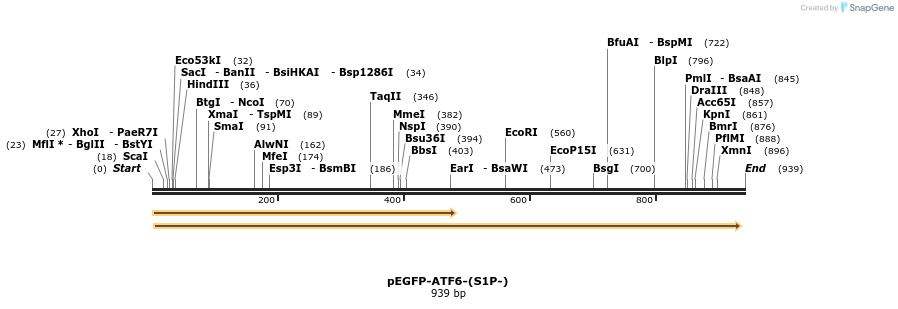 39421_map