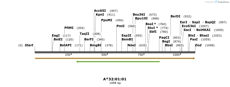 394213_map