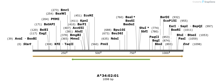 394215_map