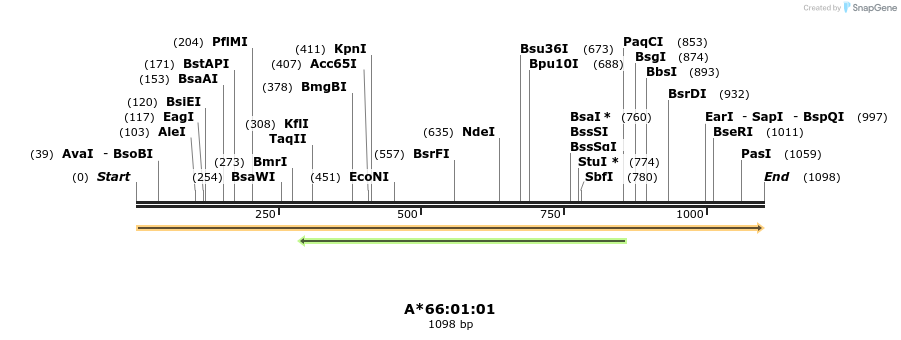 394217_map