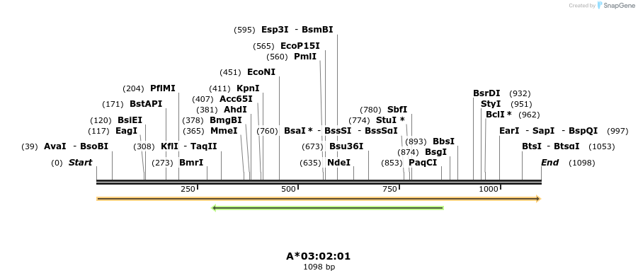 394220_map
