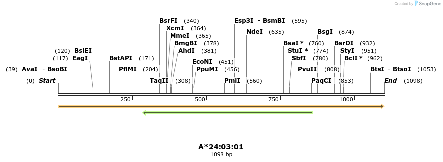 394222_map